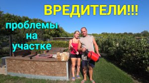 Одолели ВРЕДИТЕЛИ!!!!!