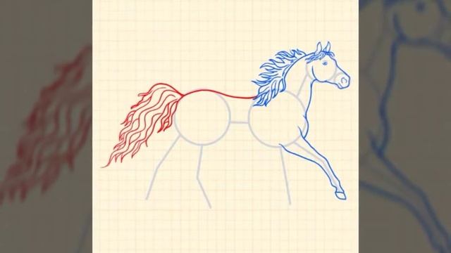Как научиться рисовать лошадь