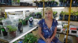 КАК СНЯТЬ ПОХМЕЛЬЕ ! ПОМОГАЕТ ВСЕМ ! ОБЕЗБОЛИТЬ И УБРАТЬ СИМПТОМЫ ПОХМЕЛЬЯ !