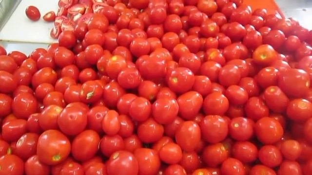 Как готовят сушеные помидоры на производстве Spektrumix