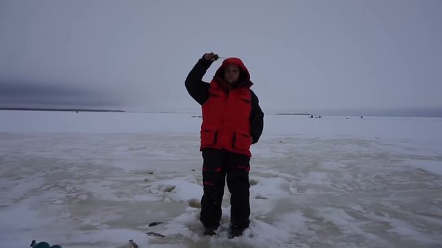 Ловля окуня по слуду (27.12.2016) смотреть онлайн