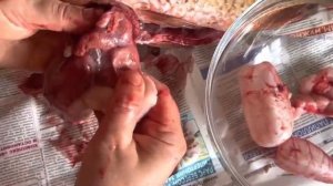 Разделка рыбы. Как почистить карпа