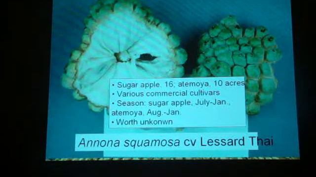 johnathon crane - subtropical and tropical fruit crops in florida - PART 1