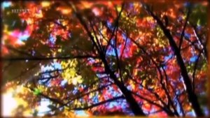 Осенний фокстрот (Тимур Максимов) Пьеса для синтезатора