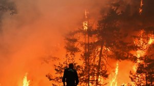 Аномальная жара спровоцировала массивные лесные пожары в Бурятии