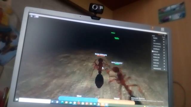 жизни за Муравья в roblox смотреть онлайн