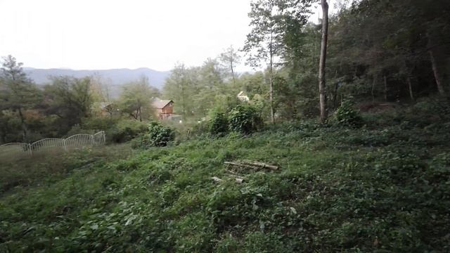 #Сочи#Земля    Мацеста. Верховское. Классный участок в очень тихом месте