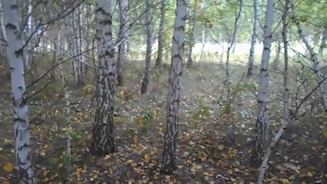 Фундамент из покрышек. Опять грибы. смотреть онлайн