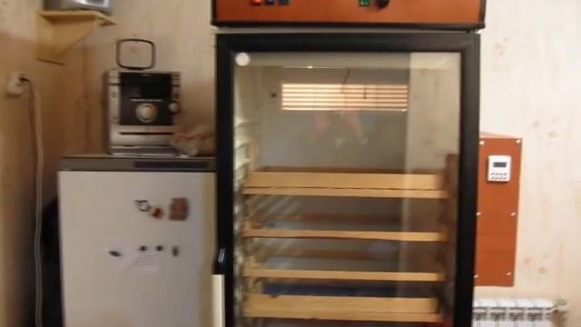 Образцовая перепелиная домашняя миниферма