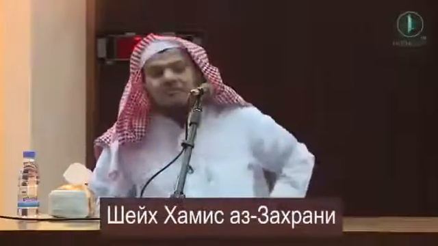 Шейх прав на 💯 процентов смотреть онлайн