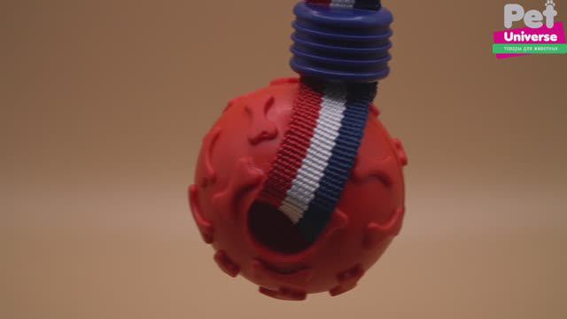 PU3056R Игрушка для собак Pet Universe мячик с эластичным шнуром 6,3х25 см смотреть онлайн