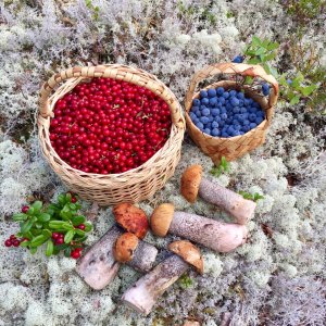 Ковдор 2022 июль (2 часть).mp4