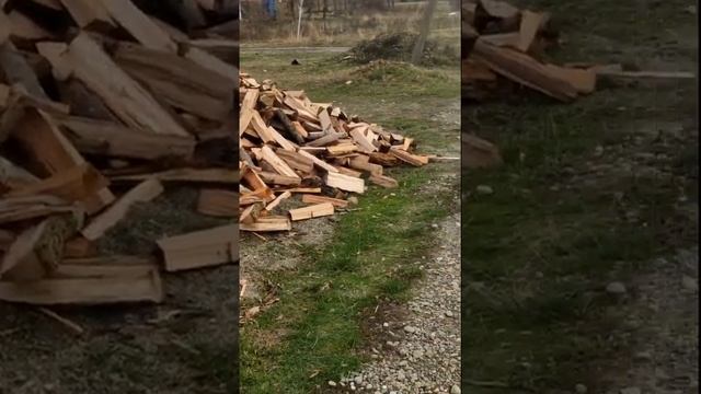 Хуторские будни. Ноябрь 23. смотреть онлайн