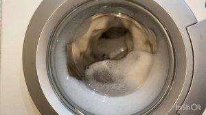 Bosch WFCX2460OE: Стирка тюлей / Синтетика 40, 600, предв.стирка, доп.полоскание, интенсивная