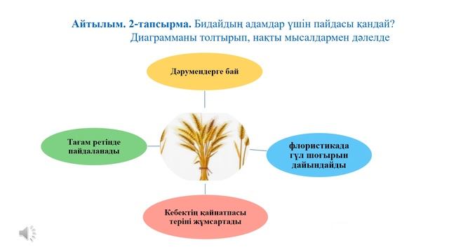 Өсімдіктер әлемі 5 сынып қазақ тілі смотреть онлайн