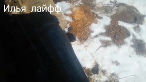 отличие кардана и коробки передач #ваз #москвич