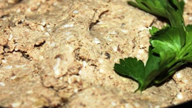 Блинчики с говяжьим сердцем