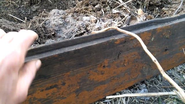 Грядка РОЗУМА для бахчи! смотреть онлайн