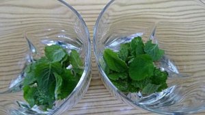 Мохито безалкогольный с лаймом и мятой