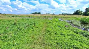 Отдых на реке Псел в Курской области (Беловский район) в селе Гирьи.