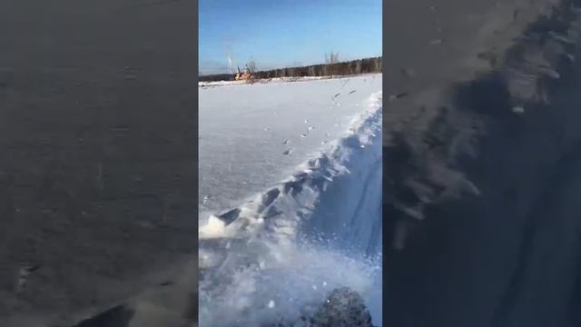 катание на мото собаке смотреть онлайн