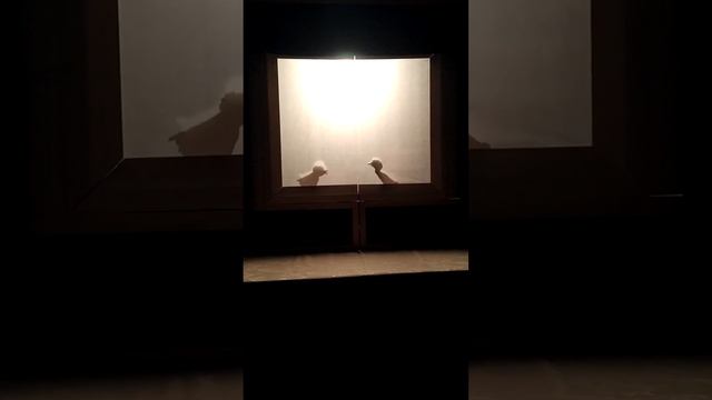 Цыпленок и утенок. Сутеев смотреть онлайн