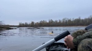 Подводная охота на Волге. Судак на глубине 9 метров. Осень 2023
