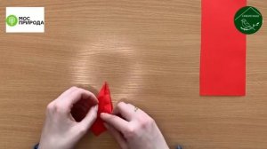 Мастер-класс «Оригами. Тюльпан»