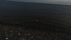 #Рыбалка #РыбалканаЕнисее   Рыбалка в Дудинке , плавно перешла в экскурсию