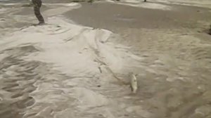 Рыбалка Вилюй. Якутия