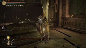 ELDEN RING - Двое из божественной кожи (как быстро их одолеть)