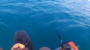 Рыбалка на черном море ловим ласкиря горбыля тест лодки ОКА-4 мотор Hidea 9.9