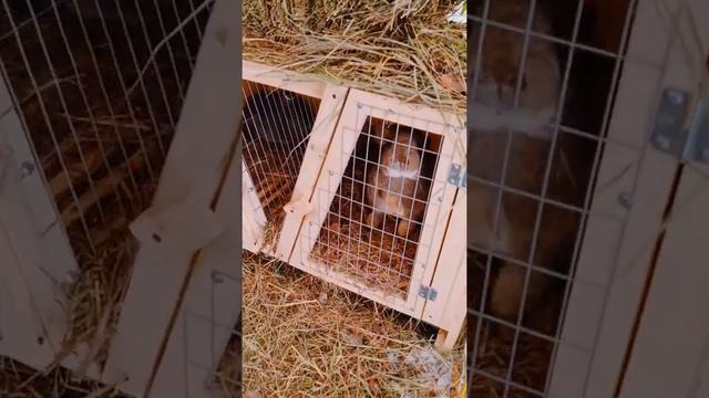 Новое уютное место для отдыха появилось на въезде в Каменске-Уральский. Это экоферма "Улов".