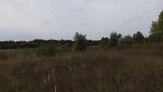 3 октября народный праздник АСТАФЬЕВ ДЕНЬ. АСТАФЬЕВЫ ВЕТРЫ. народные приметы и поверья