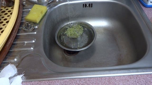 0020 Situatie experiment. Recolta microplante si broccoli смотреть онлайн