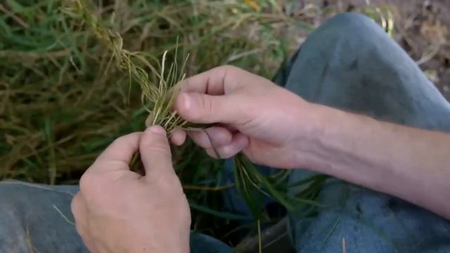Как сделать крепкую веревку из травы. Уроки выживания.  Видеоурок