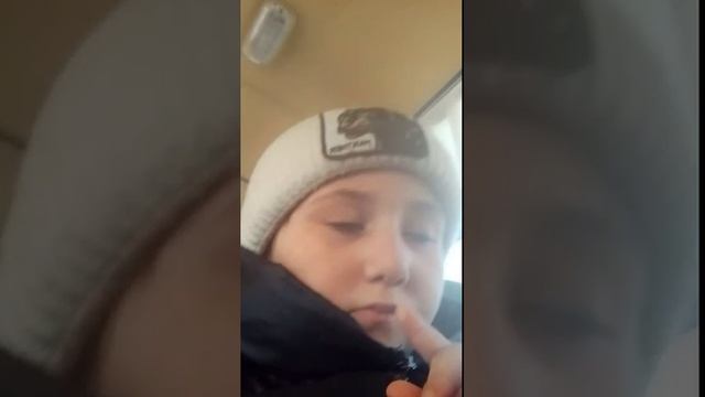 мвс