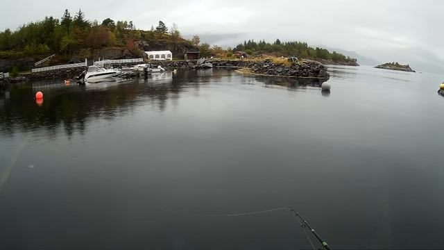 Рыбалка на - 50 миллионов, за что штрафуют в Норвегии? . тест Hearty Rise Rock'n'Force RF 702LL смотреть онлайн
