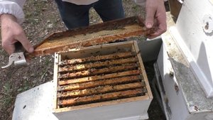 МАГАЗИН СТАВИТЬ ИЛИ КОРПУС  ПРИ ПОЛНОМ ГНЕЗДЕ.