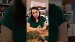 Травы и изготовление свечи на деньги