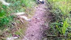 RC Trophy Mercedes Benz G500 1/12 в Карельских лесах.