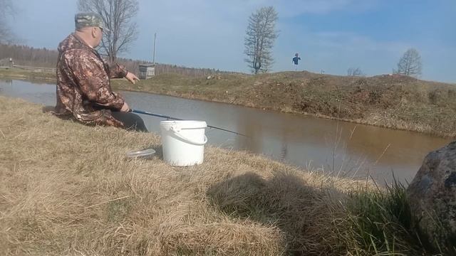 Весенние караси