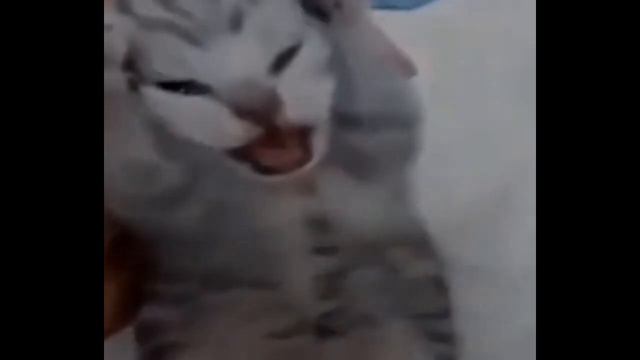 Как сделать Hard Drift Phonk ? | How to make Hard Drift Phonk ? смотреть онлайн