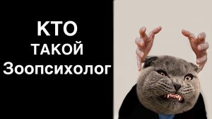 Кто такие зоопсихологи и когда они нужны коту?