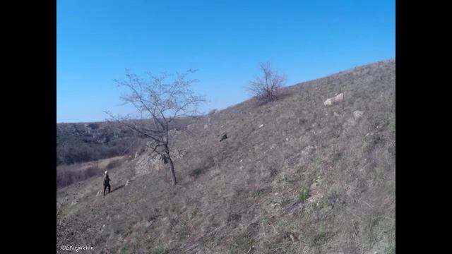 Сон трава смотреть онлайн