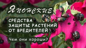 Японские средства защиты от комплекса вредителей