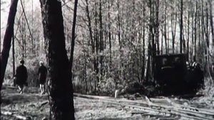 Лющанский лесопункт в 50-60-е года