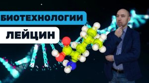 Что такое лейцин? Душкин объяснит