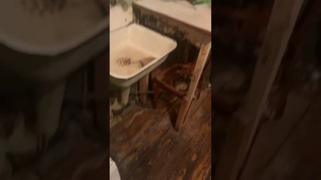 г.Киров Карла-Маркса 134 вот в каких условиях живут люди. смотреть онлайн