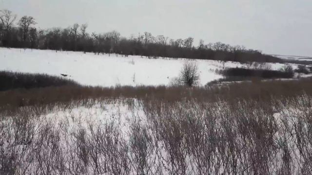 Охота Супер! Такое Бывает Очень Редко! Еще И Живая Дрессированная Лиса! смотреть онлайн